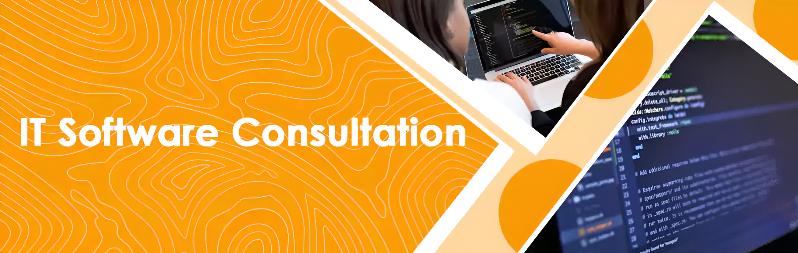 IT Software Consultation Services