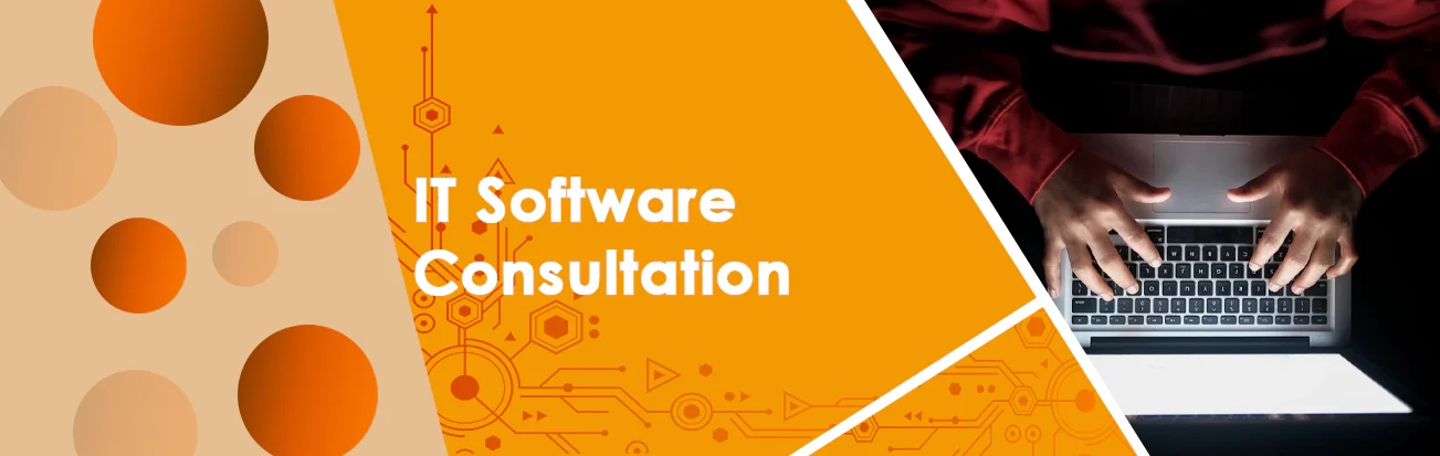 IT Software Consultation Services